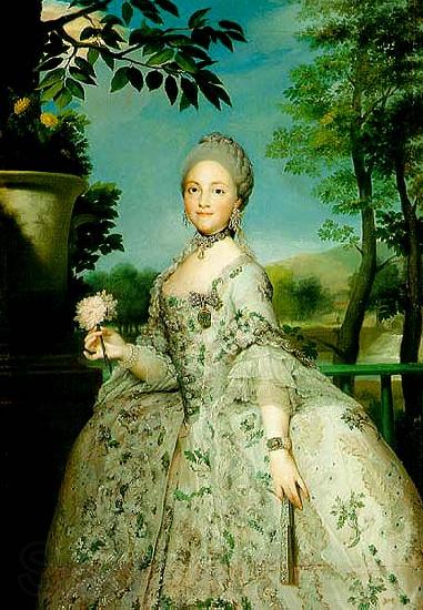 Anton Raphael Mengs the later Queen Maria Luisa of Spain Norge oil painting art